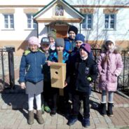 Установка скворечников